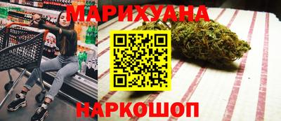 сатива Будённовск