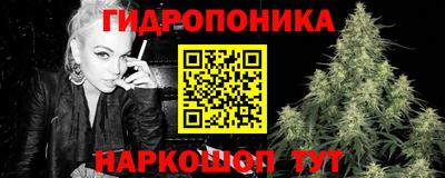 сатива Будённовск