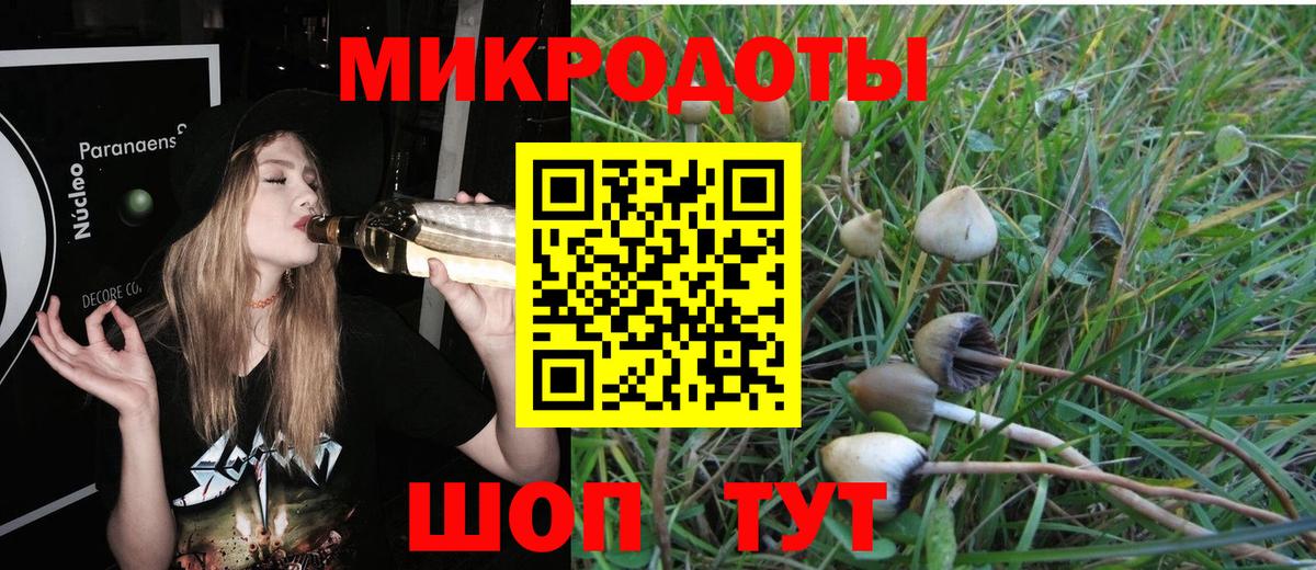 Галлюциногенные грибы Magic Shrooms Тавда