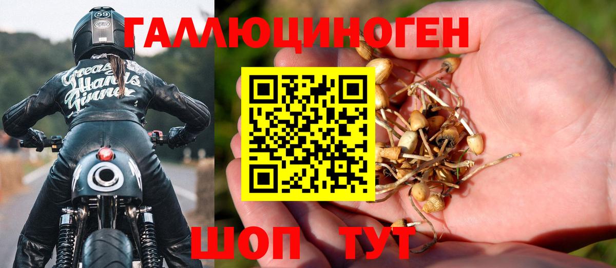 Тавда  Галлюциногенные грибы Cubensis  Вход с VPN  Галлюциногенные грибы мицелий 